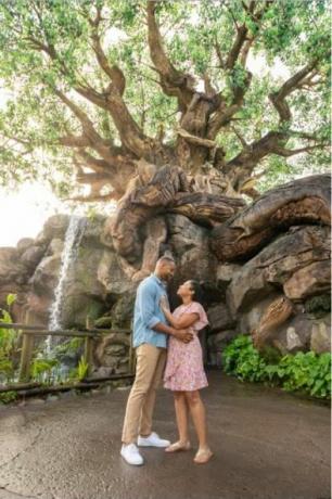 vangitse hetkesi Disney-valokuvaussessiossa eläinkunnan elämänpuu
